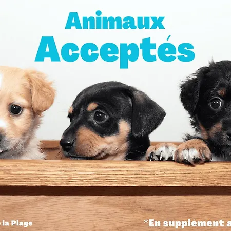 1 Avec Tv, Wi-fi, Animaux Admis - Fr-1-323-412 Apartment Saint-Jean-de-Monts